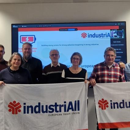 Nem maradhat érdekképviselet nélkül az akkugyártás